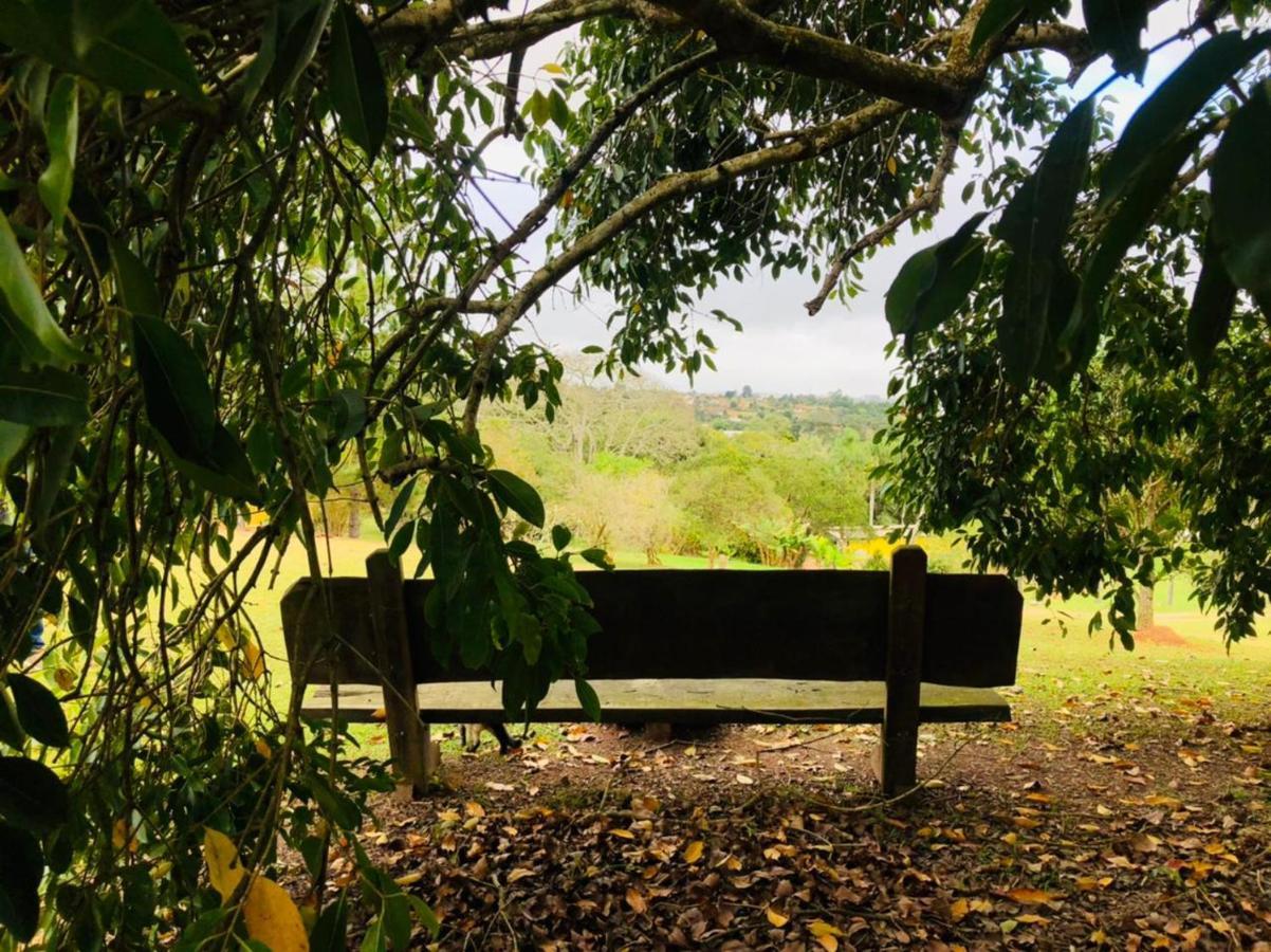 Pousada Sitio Da Terra E Arte São Roque 外观 照片