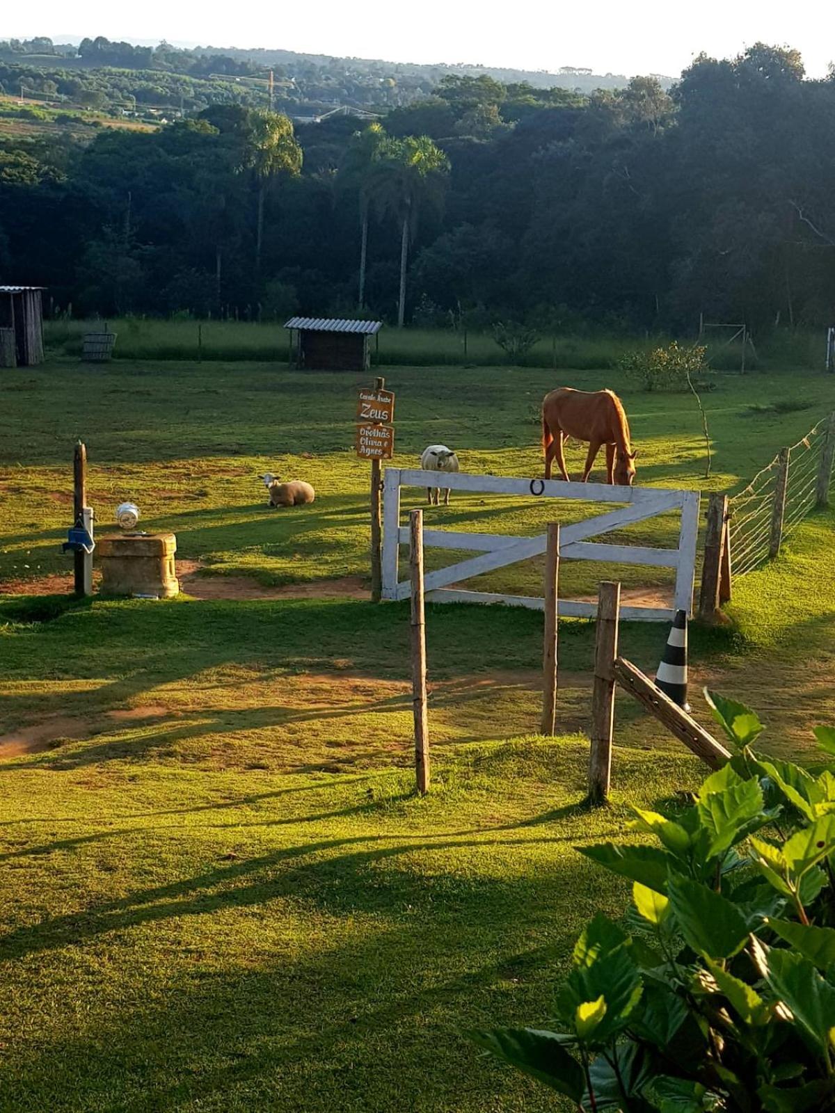 Pousada Sitio Da Terra E Arte São Roque 外观 照片